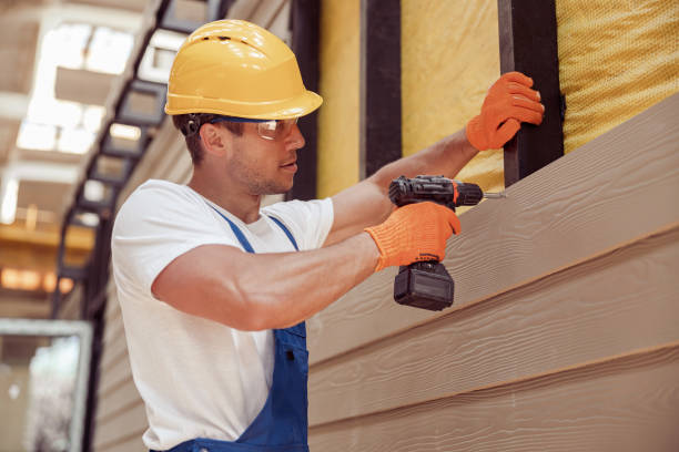 Best Custom Trim and Detailing for Siding  in Versailles, MO